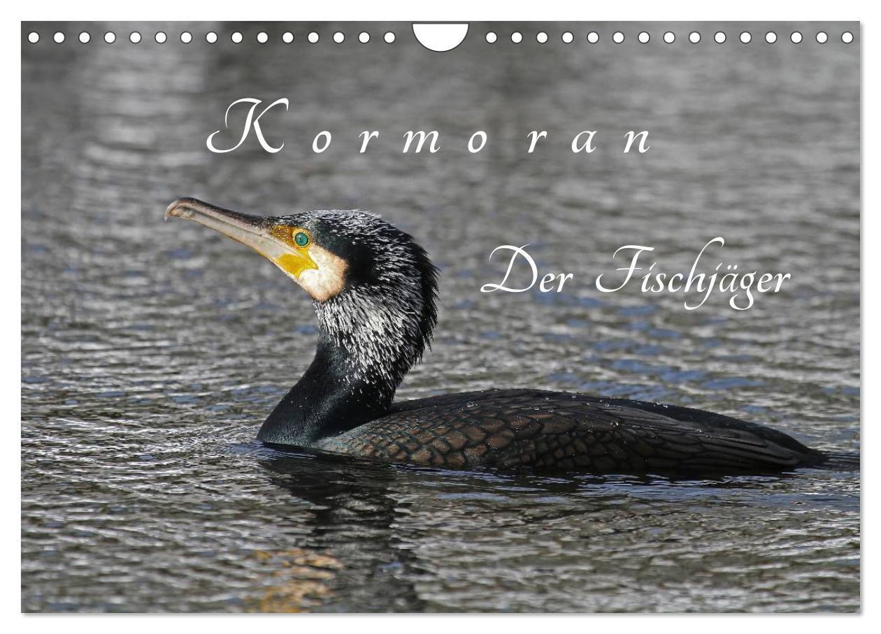 Cover: 9783383346309 | Kormoran. Der Fischjäger (Wandkalender 2024 DIN A4 quer), CALVENDO...