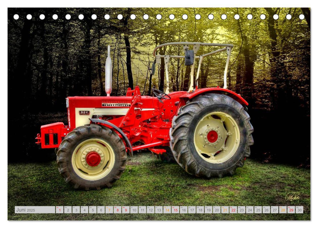 Bild: 9783435606672 | Oldtimer Schätze. Ein Traktoren-Kalender (Tischkalender 2025 DIN A5...