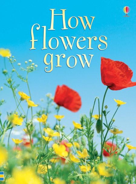 Cover: 9780746074503 | How Flowers Grow | Usborne Beginners | Emma Helbrough | Buch | 32 S.