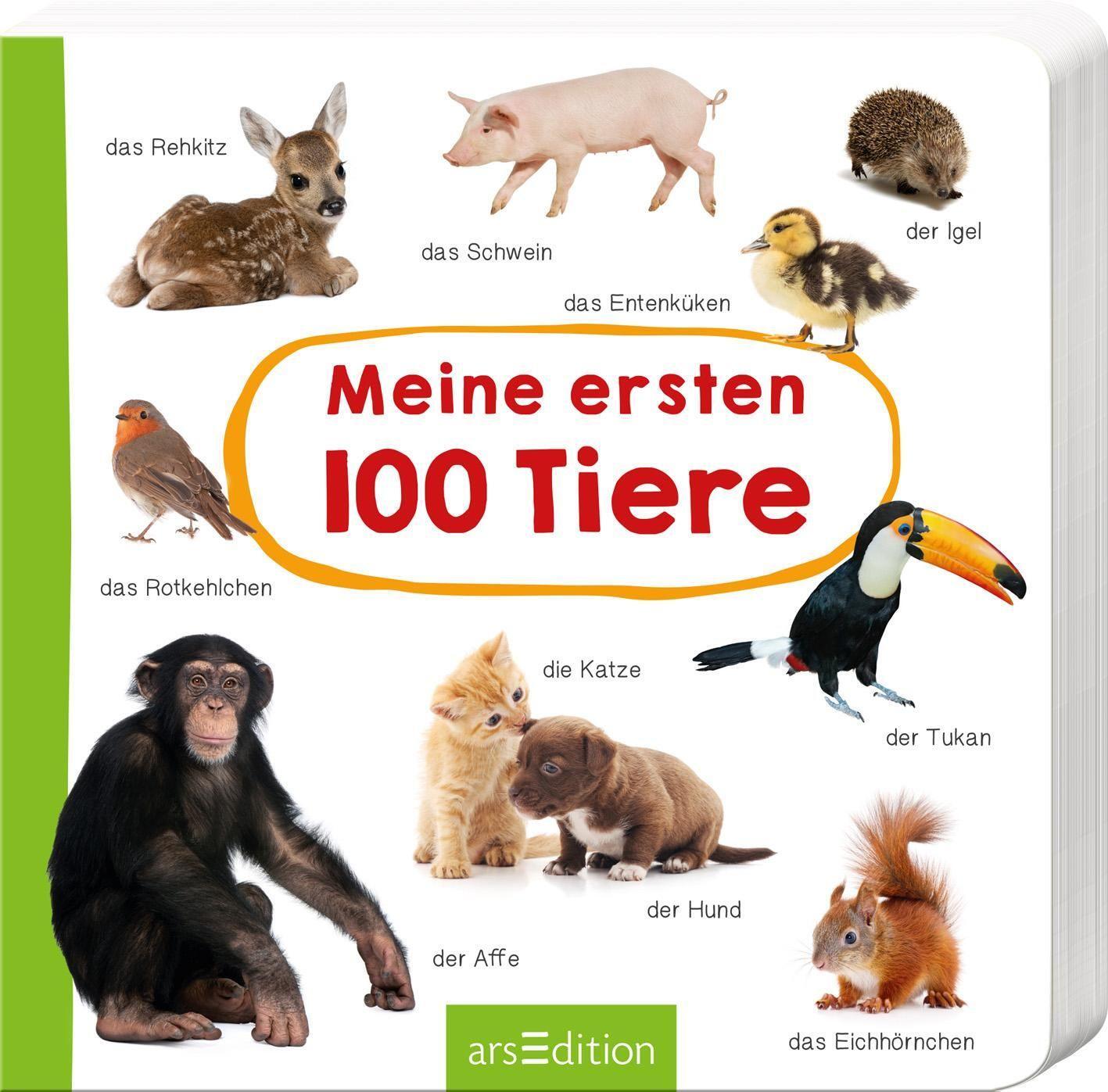 Cover: 9783845827414 | Meine ersten 100 Tiere | Foto-Wörterbuch | Buch | Pappebuch | Deutsch