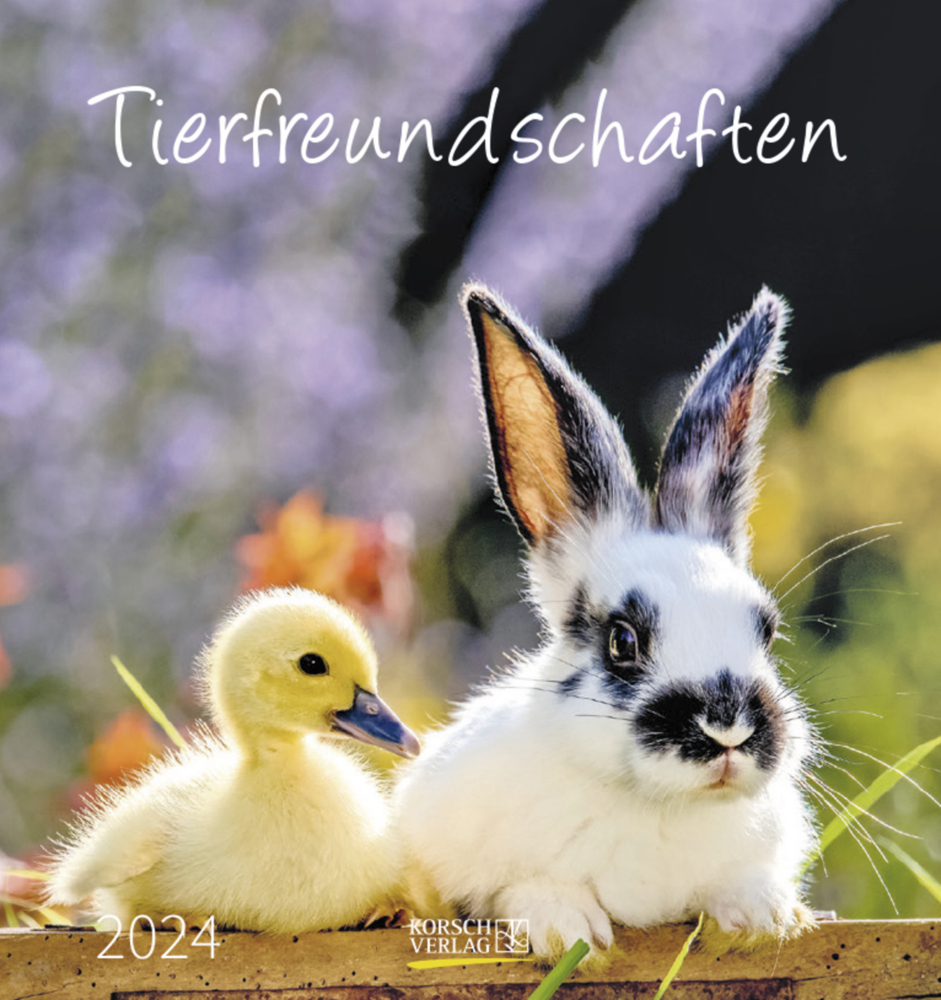 Cover: 9783731869559 | Tierfreundschaften 2024 | aufstellbarer Postkartenkalender | Verlag