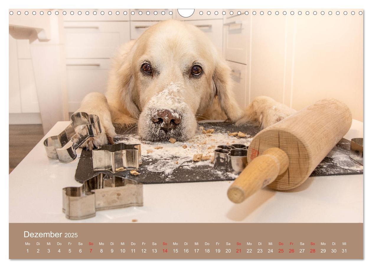 Bild: 9783435153480 | Grace und Cuba - Das verrückte Leben der Golden Girls (Wandkalender...