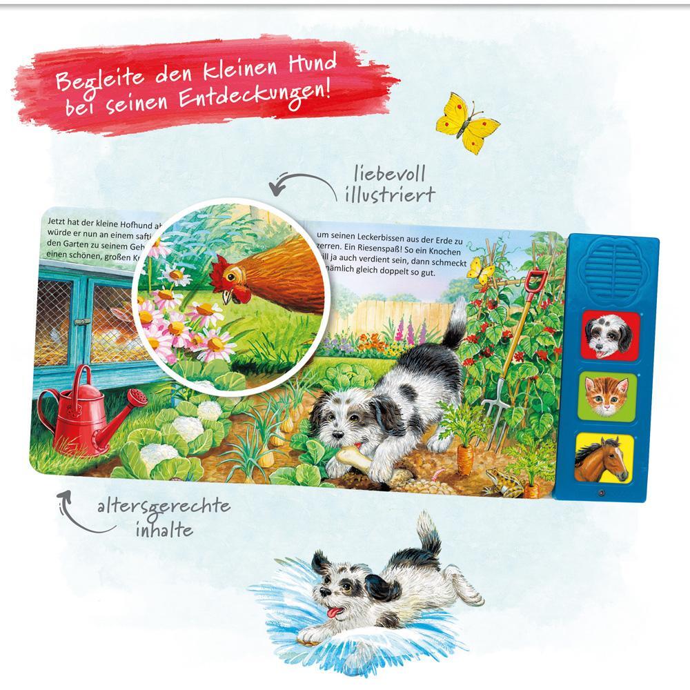 Bild: 9783965521766 | Trötsch Tierstimmenbuch Der kleine Hund und seine Freunde | KG | Buch