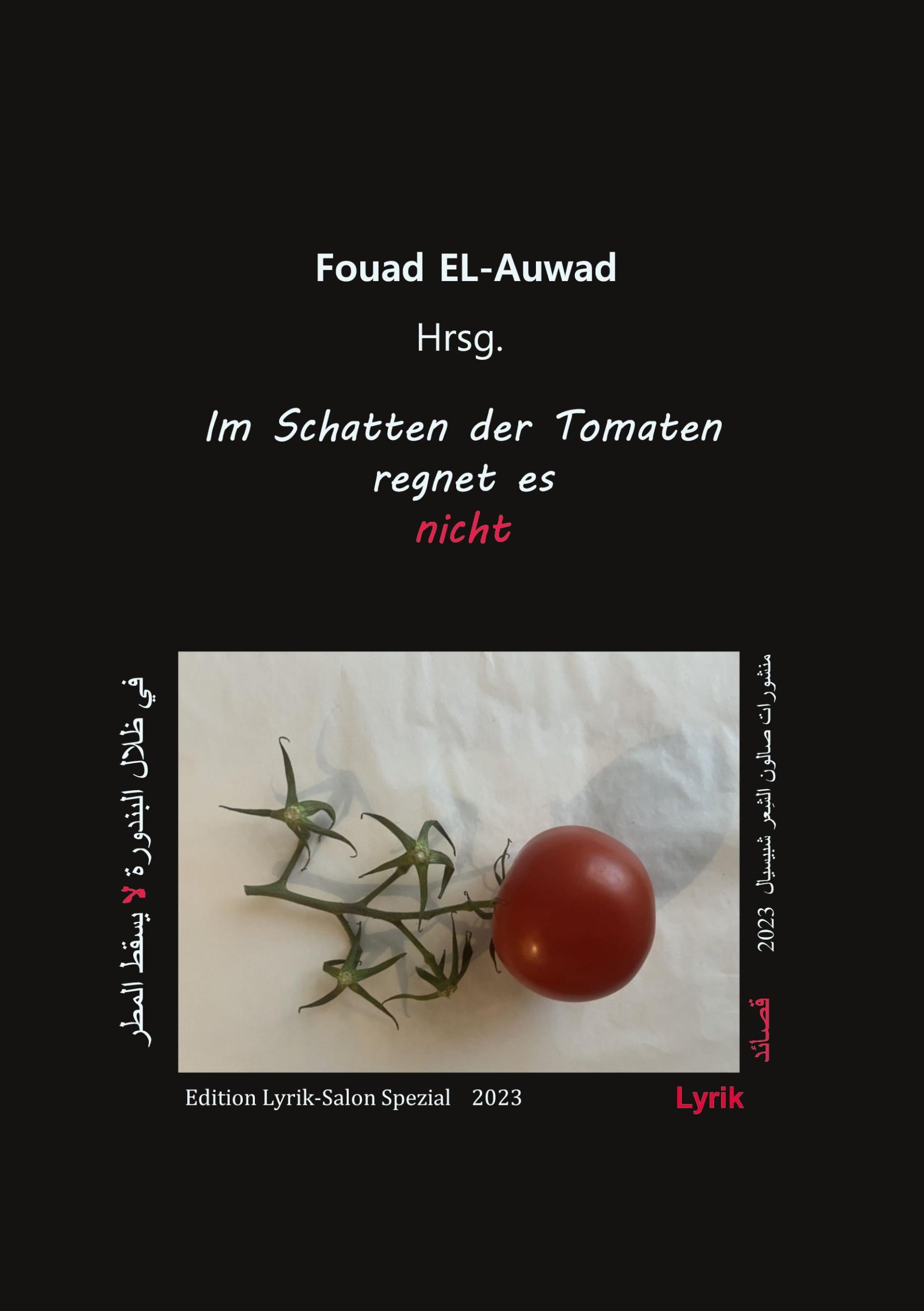 Cover: 9783757823085 | Im Schatten der Tomaten regnet es nicht | Fouad El-Auwad | Taschenbuch