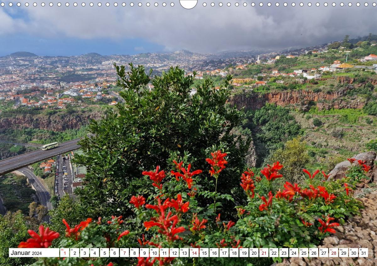 Bild: 9783675414129 | Frühlingstraum Madeira (Wandkalender 2024 DIN A3 quer), CALVENDO...