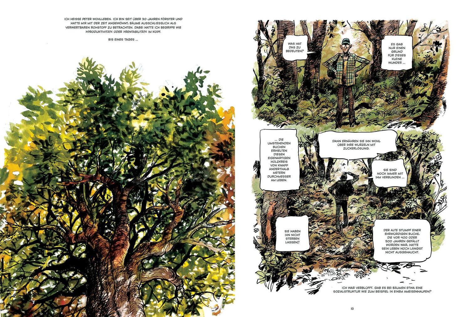 Bild: 9783453281608 | Das geheime Leben der Bäume | Peter Wohlleben | Buch | 240 S. | 2023