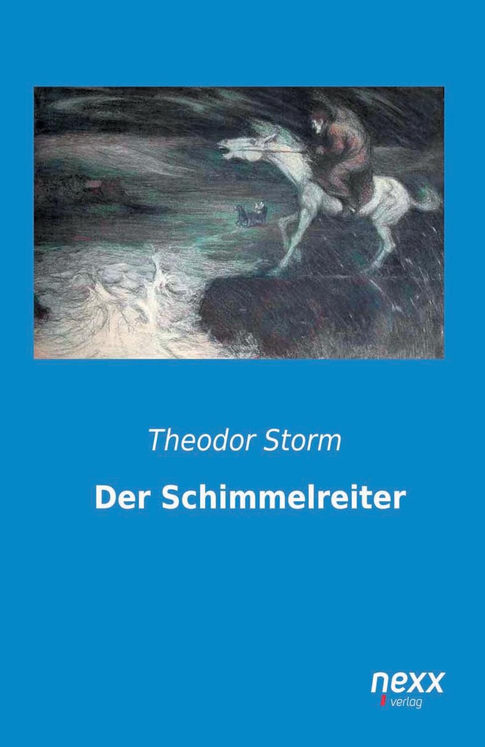 Cover: 9783958703087 | Der Schimmelreiter | Theodor Storm | Taschenbuch | Paperback | Deutsch