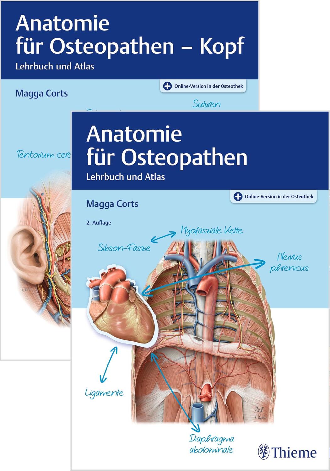 Cover: 9783132441989 | Set Anatomie für Osteopathen | Bundle | 1 Buch | Deutsch | 2023
