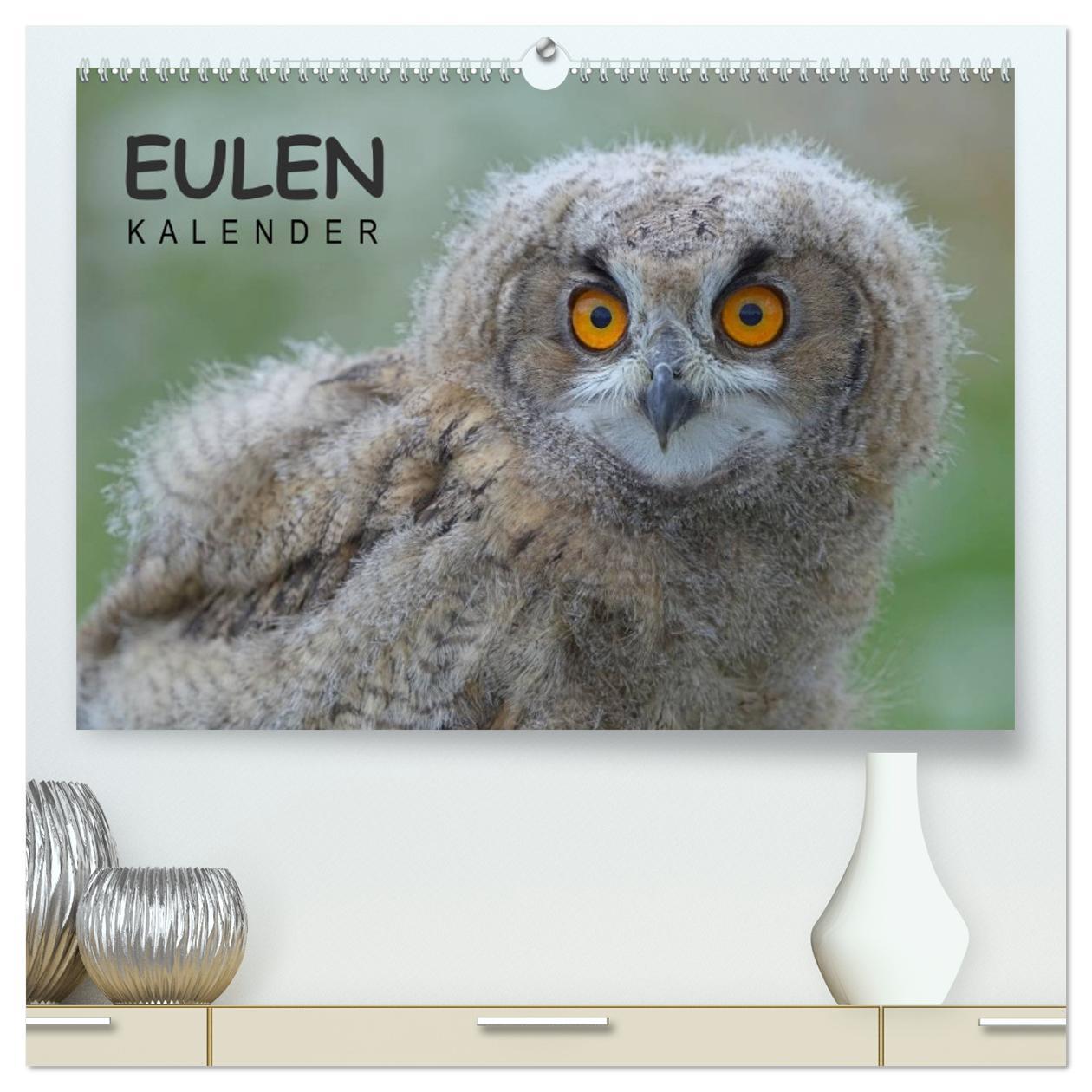 Cover: 9783435690244 | Eulen-Kalender (hochwertiger Premium Wandkalender 2025 DIN A2...