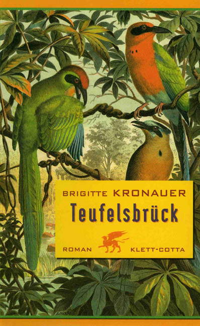 Teufelsbrück - Kronauer, Brigitte