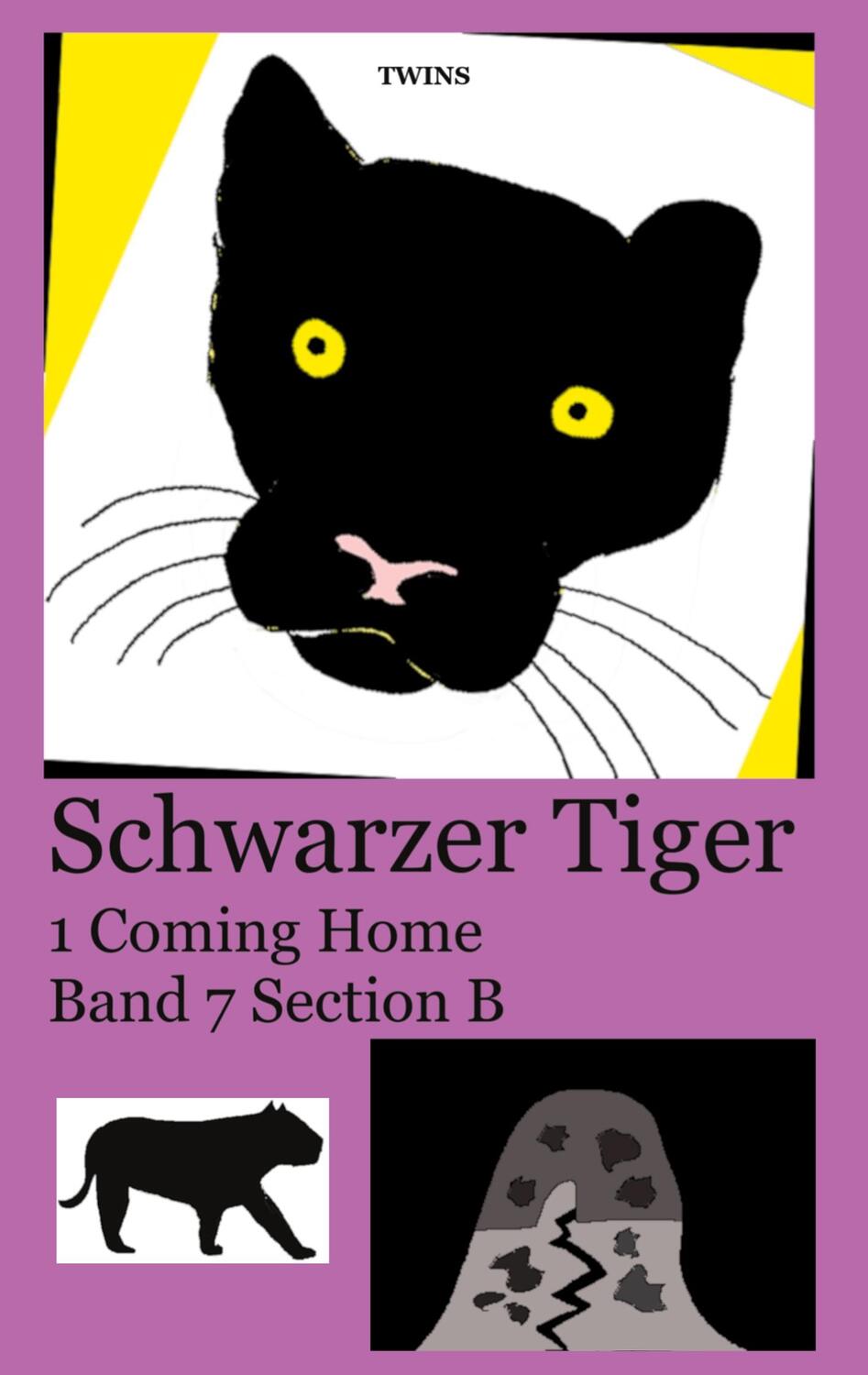 Cover: 9783755733713 | Schwarzer Tiger 1 Coming Home | Band 7 Section B | . . Twins | Buch