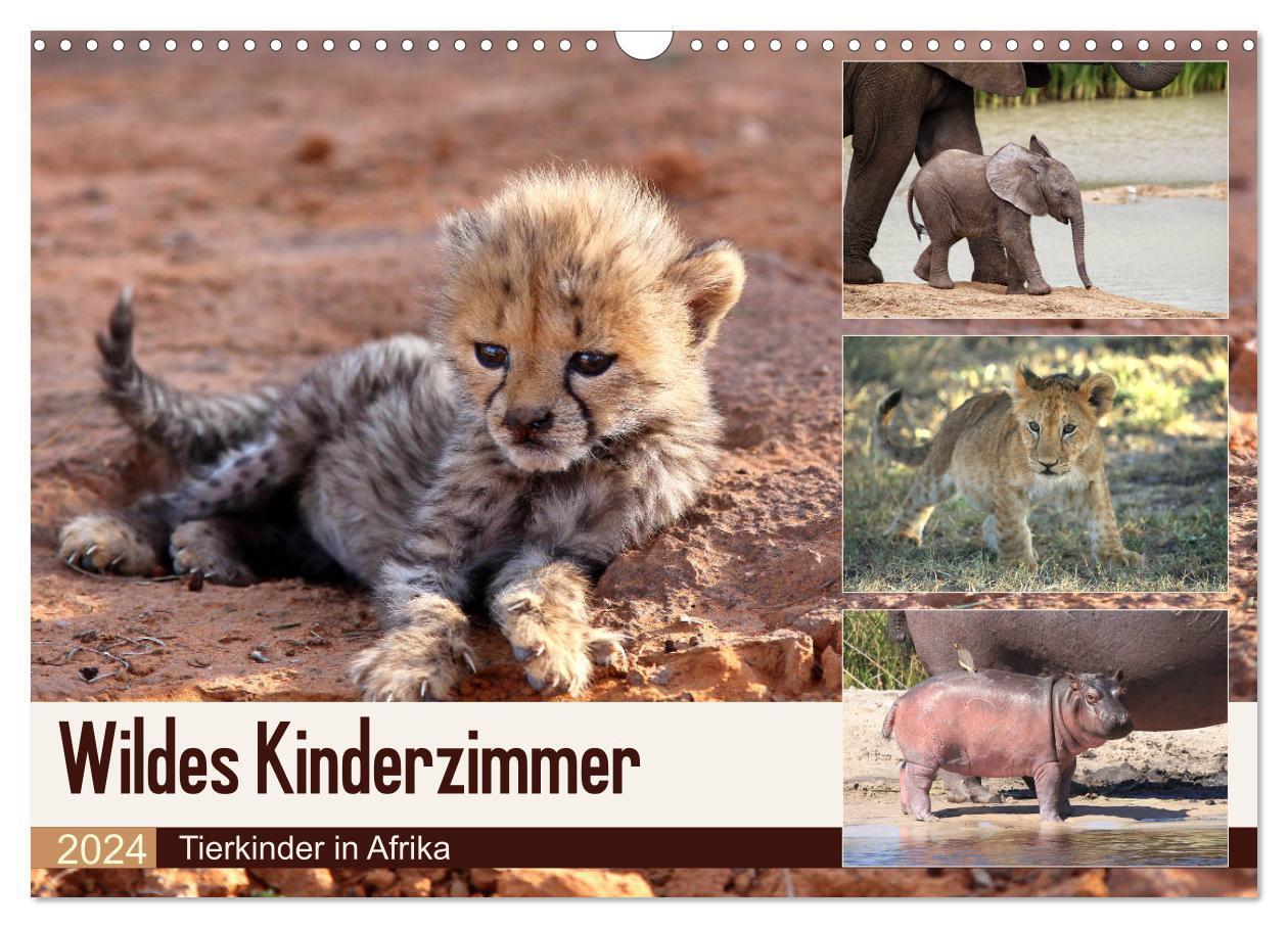 Cover: 9783383471810 | Wildes Kinderzimmer - Tierkinder in Afrika (Wandkalender 2024 DIN...