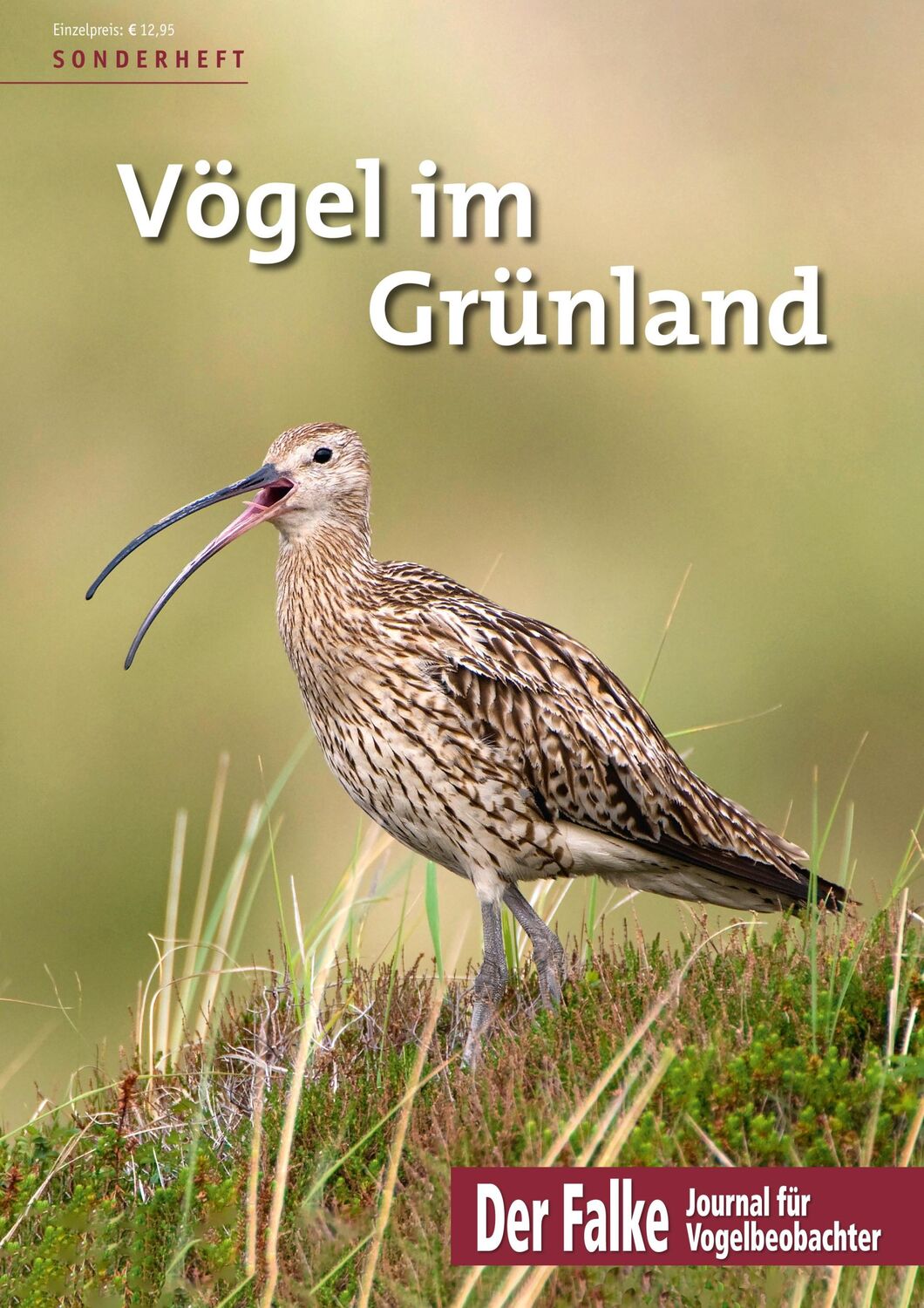 Cover: 9783891048429 | Vögel im Grünland | Redaktion Der Falke | Taschenbuch | 72 S. | 2021