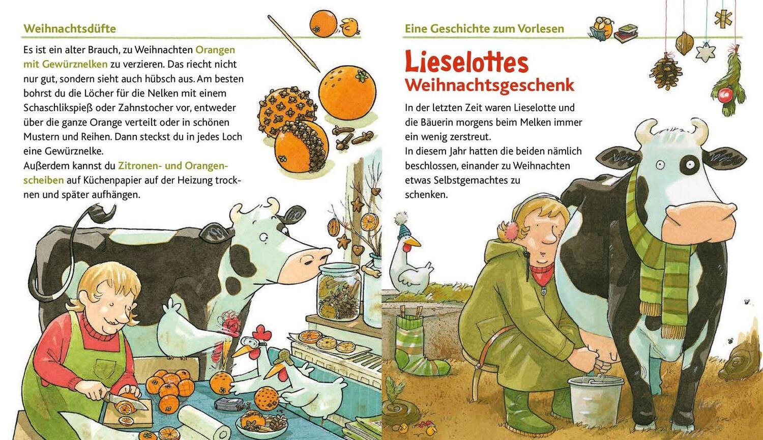 Bild: 9783737361316 | Lieselotte freut sich auf Weihnachten | Alexander Steffensmeier | Buch