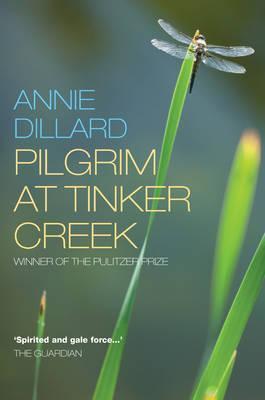 Cover: 9781848250789 | Pilgrim at Tinker Creek | Annie Dillard | Taschenbuch | Englisch