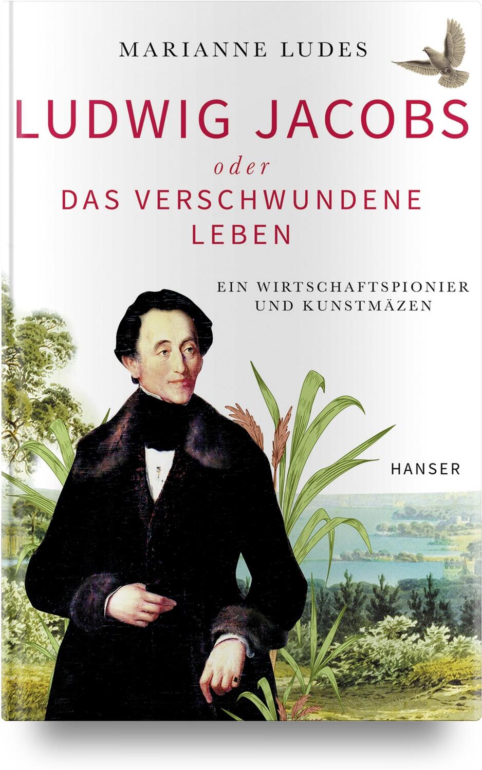 Cover: 9783446470491 | Ludwig Jacobs oder das verschwundene Leben | Marianne Ludes | Buch