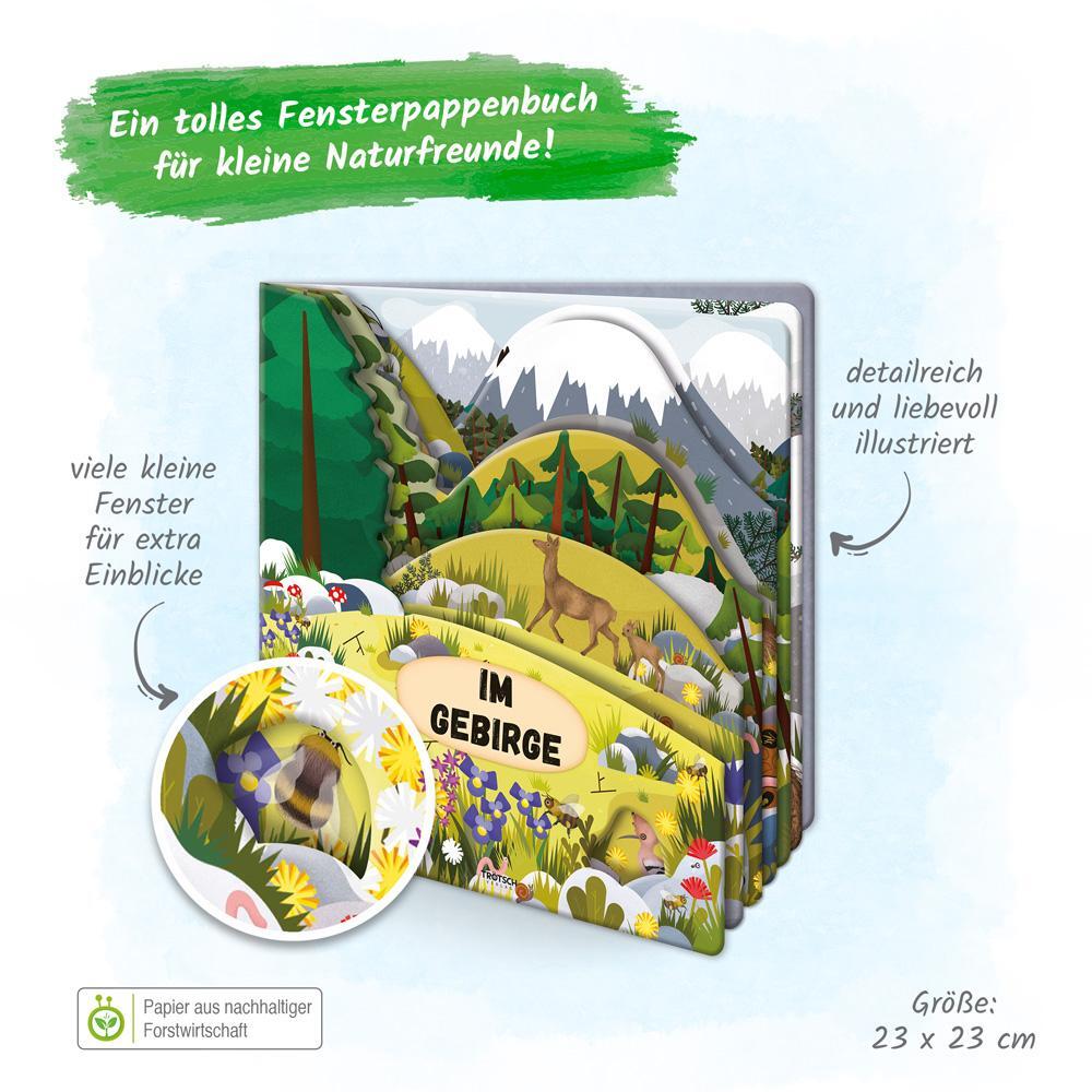 Bild: 9783965525726 | Trötsch Fensterbuch Im Gebirge | Trötsch Verlag GmbH & Co. KG | Buch