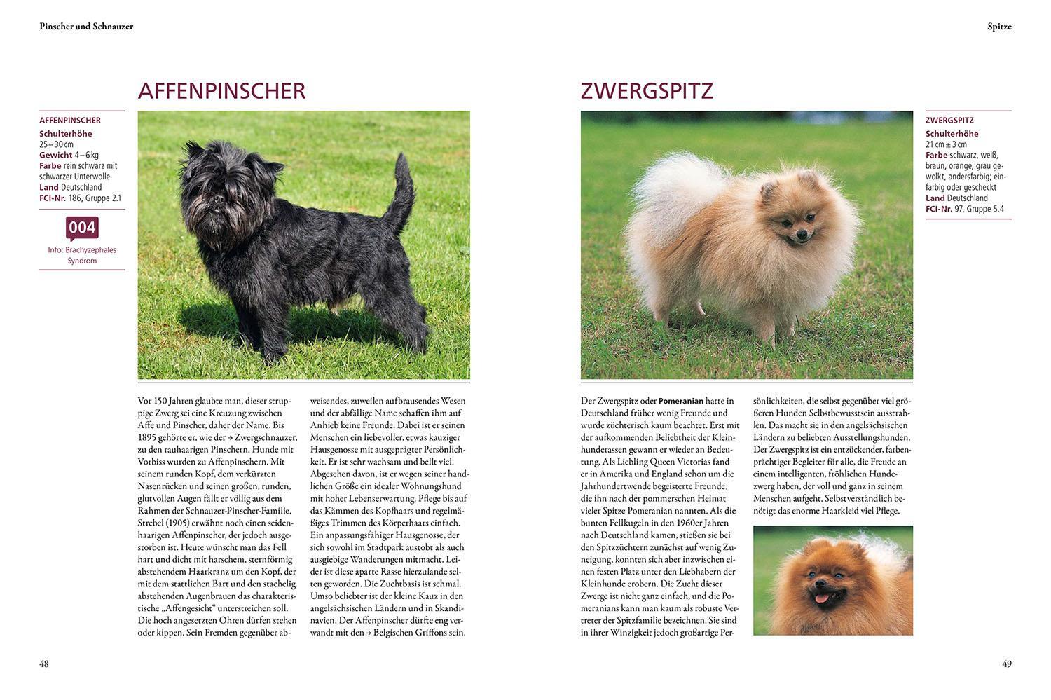 Bild: 9783440176955 | Der KOSMOS-Hundeführer | Eva-Maria Krämer | Buch | 496 S. | Deutsch