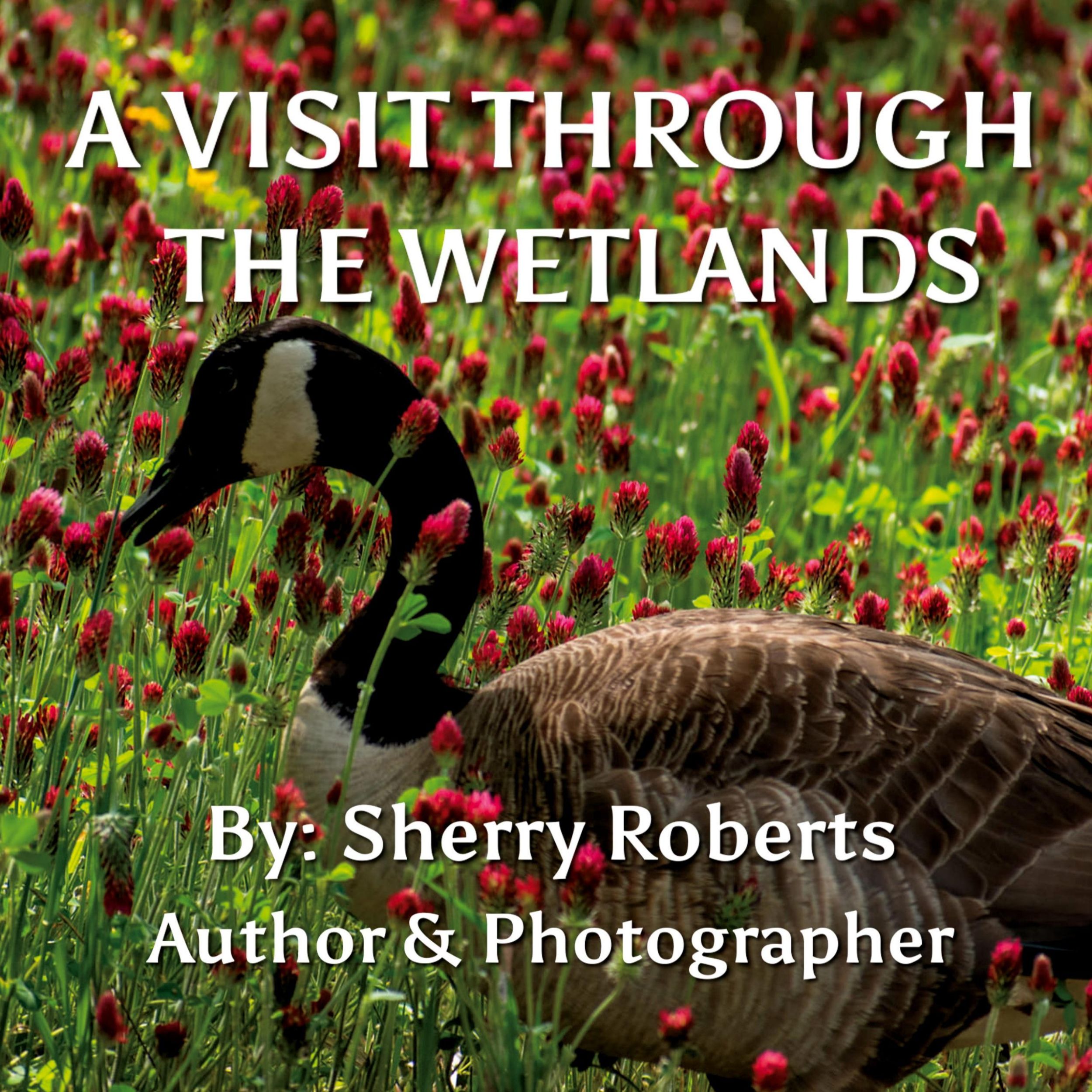 Cover: 9781639845071 | A Visit Through the Wetlands | Sherry Roberts | Taschenbuch | Englisch