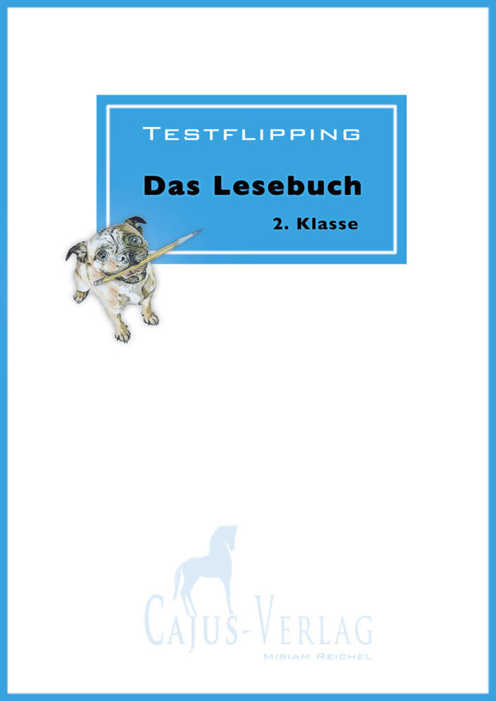 Cover: 9783945176030 | Testflipping. Lesen ab der 2. Klasse | Das Lesebuch | Miriam Reichel