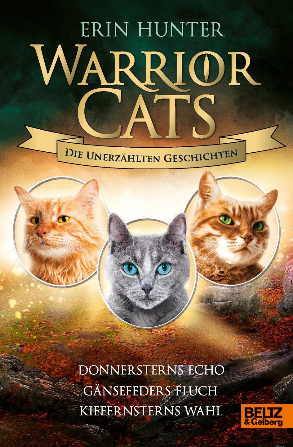 Cover: 9783407755841 | Warrior Cats - Die unerzählten Geschichten | Erin Hunter | Buch | 2020
