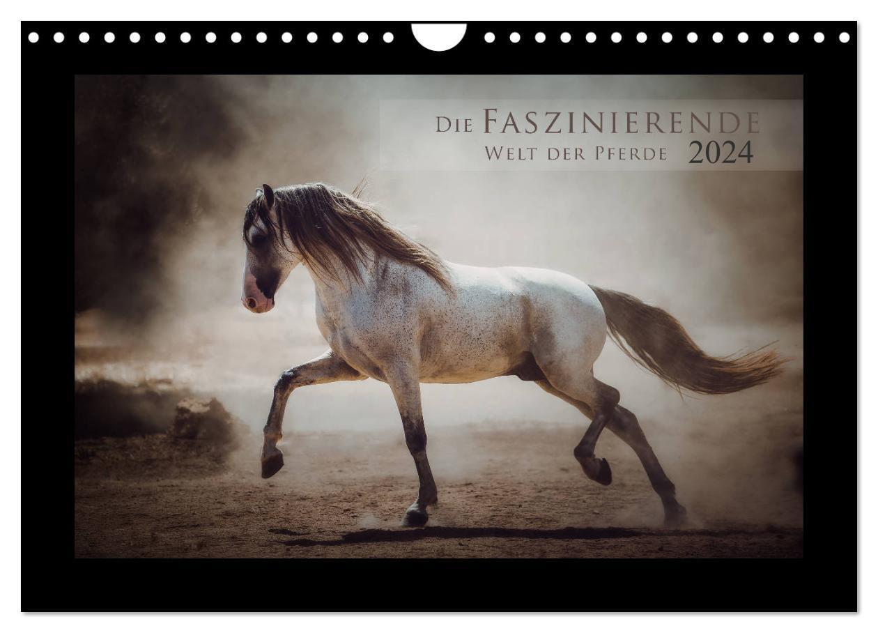 Cover: 9783383046032 | Die Faszinierende Welt der Pferde (Wandkalender 2024 DIN A4 quer),...