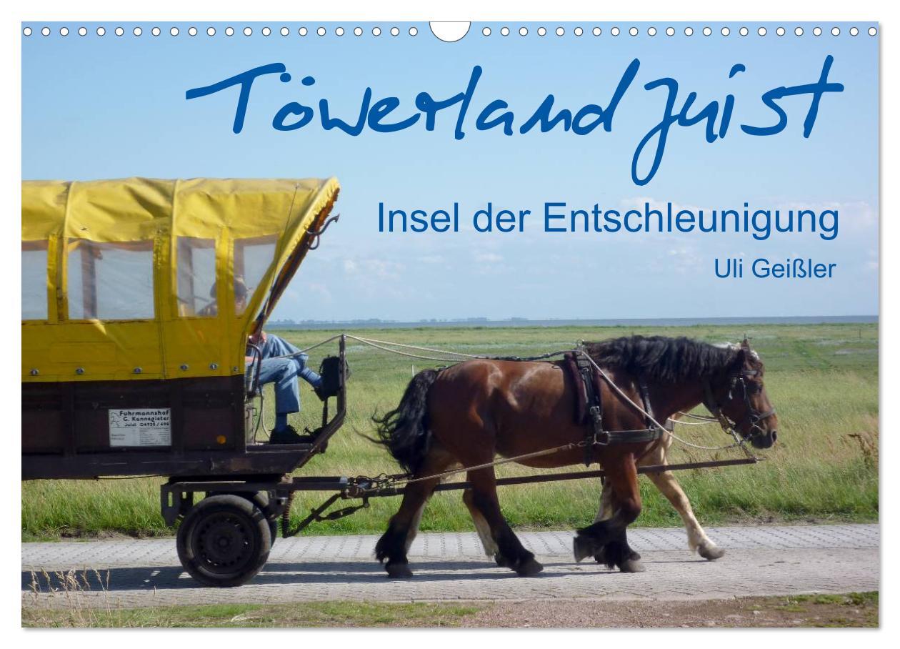 Cover: 9783435736393 | Töwerland Juist (Wandkalender 2025 DIN A3 quer), CALVENDO...