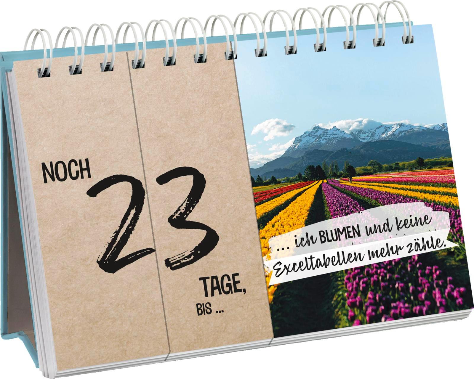 Bild: 9783848503162 | Mein Urlaubscountdown | Groh Verlag | Taschenbuch | 26 S. | Deutsch