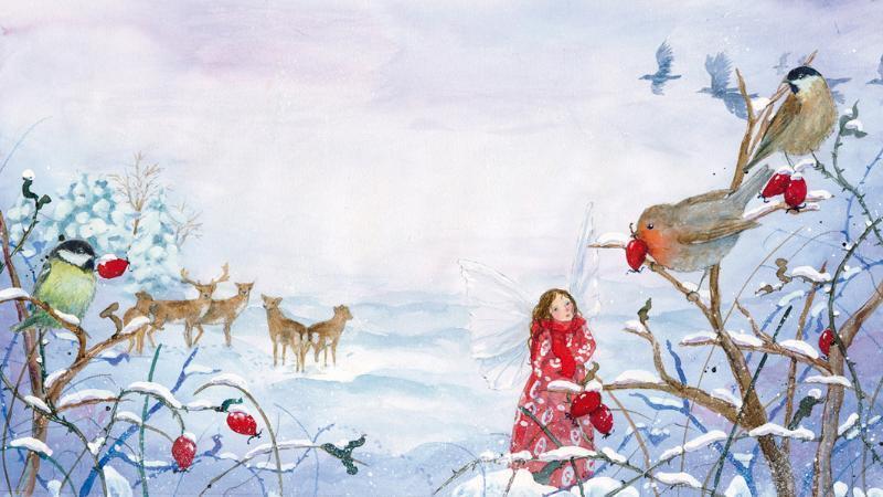 Bild: 9783825177409 | Die kleine Elfe feiert Weihnachten | Daniela Drescher | Buch | 24 S.