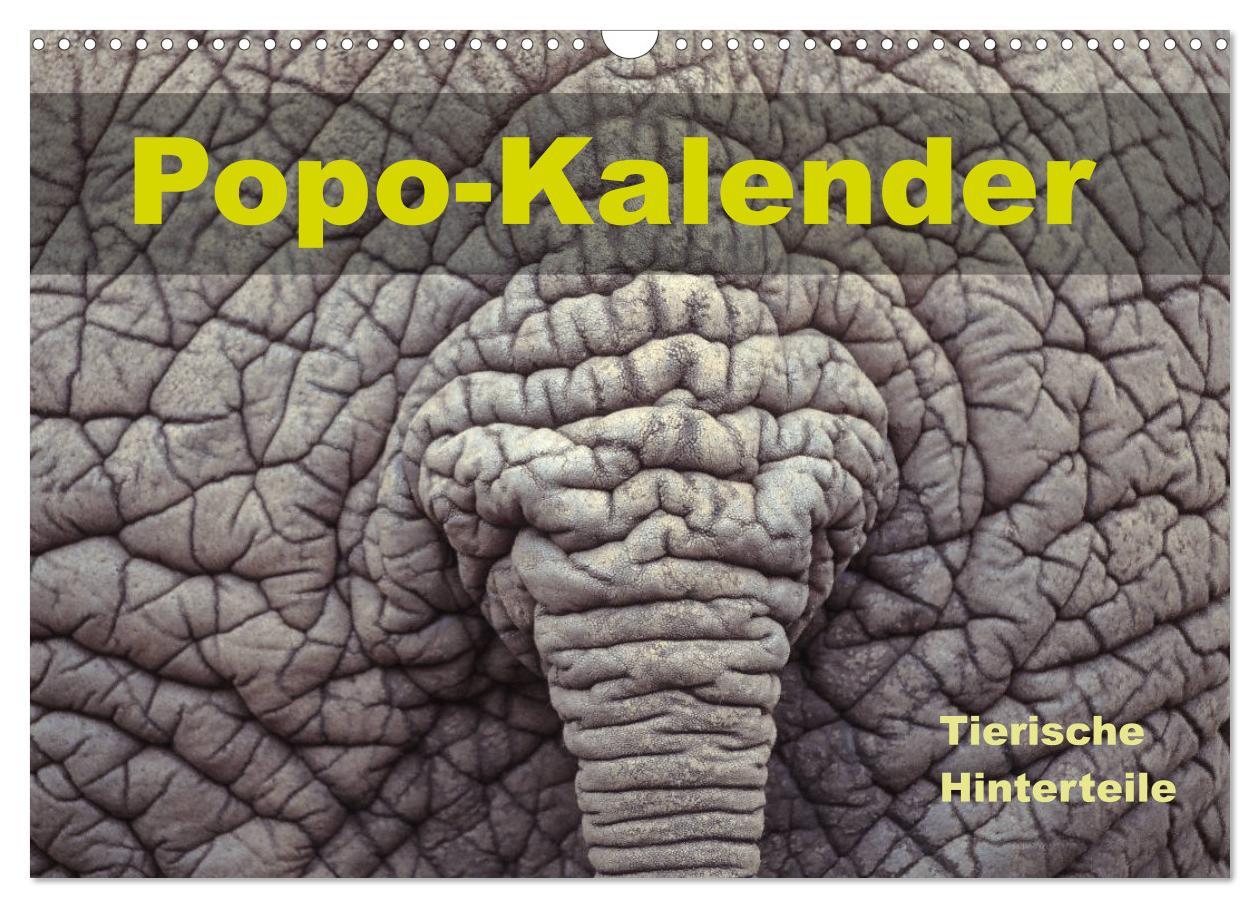 Cover: 9783435150731 | Popo-Kalender (Wandkalender 2025 DIN A3 quer), CALVENDO Monatskalender