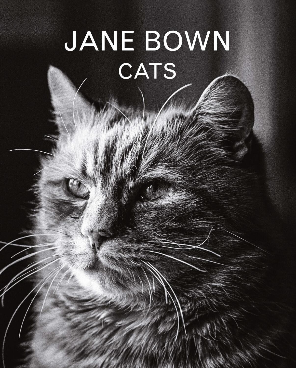 Cover: 9781783350872 | Jane Bown: Cats | Jane Bown | Buch | Gebunden | Englisch | 2016