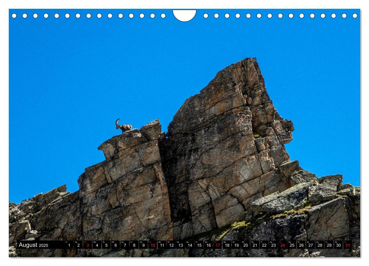 Bild: 9783435112210 | Wanderparadies Montafon (Wandkalender 2025 DIN A4 quer), CALVENDO...