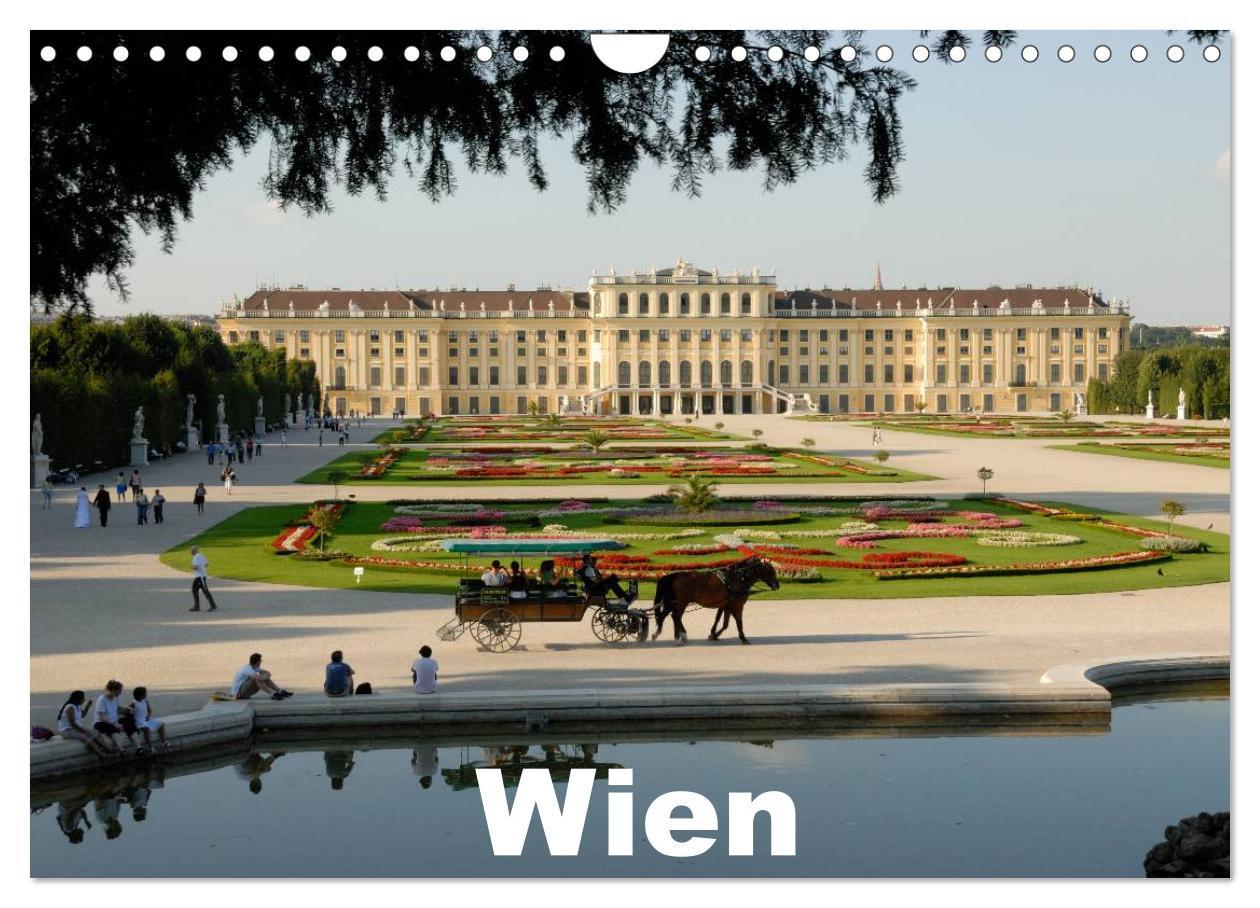 Cover: 9783435829620 | Wien (Wandkalender 2025 DIN A4 quer), CALVENDO Monatskalender | Strutz