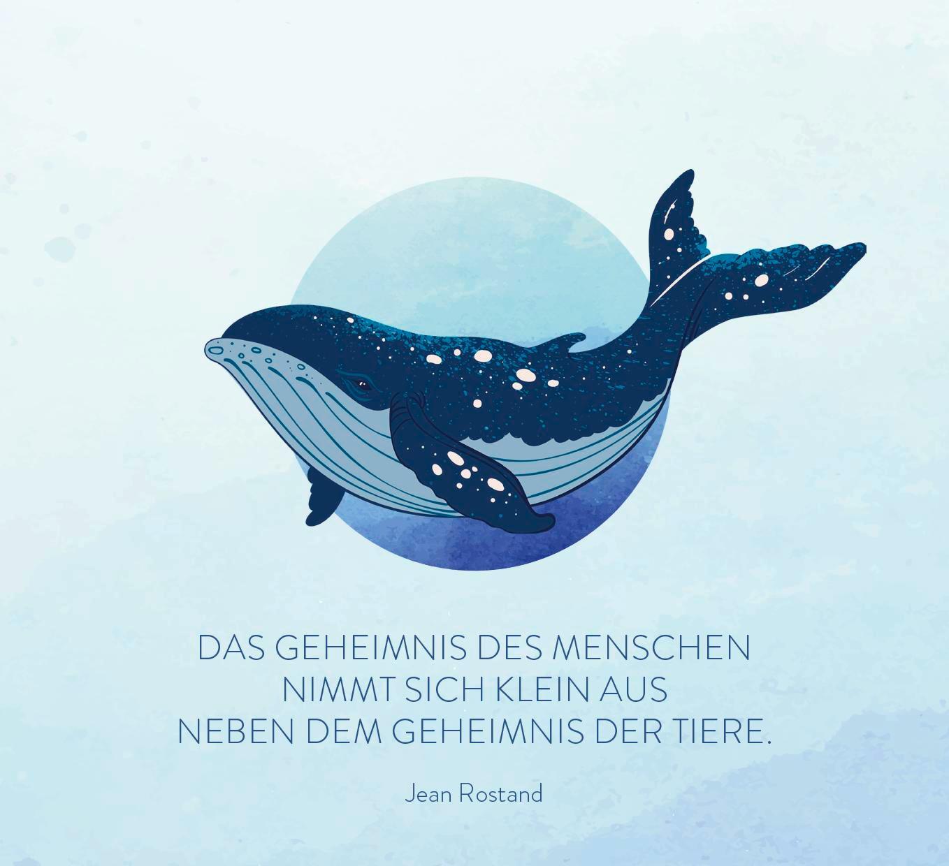 Bild: 9783848502363 | Wundervolles Meer | Ursula Kohaupt | Taschenbuch | 144 S. | Deutsch