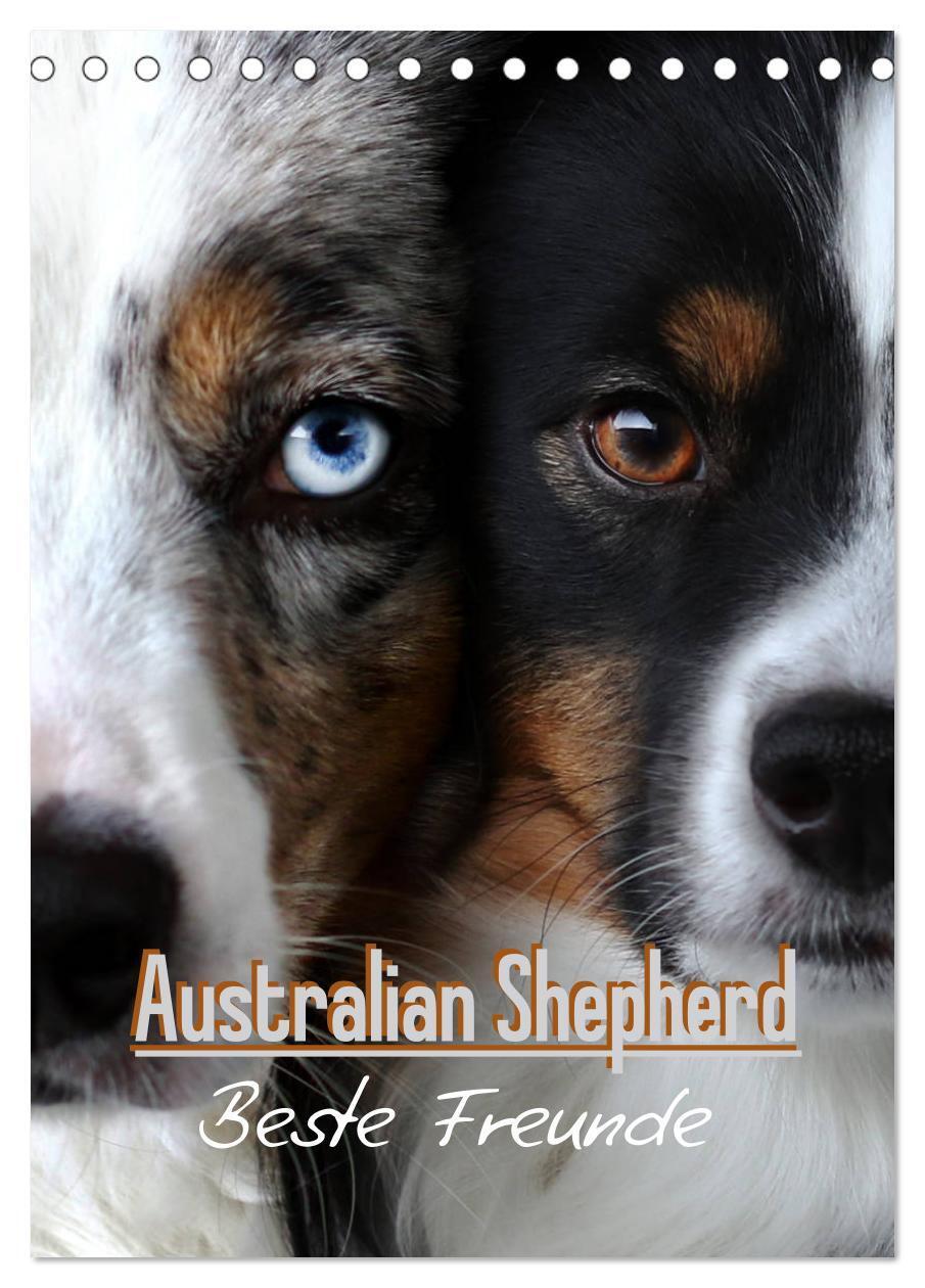 Cover: 9783675850408 | Australian Shepherd - Beste Freunde (Tischkalender 2024 DIN A5...