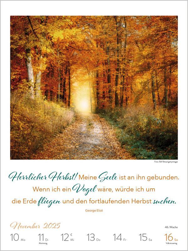 Bild: 9783731880462 | Literaturkalender Lebensweisheiten 2025 | Verlag Korsch | Kalender