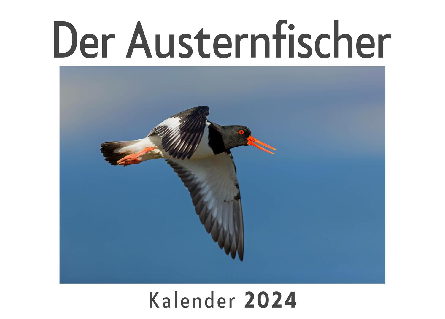 Cover: 9783750554757 | Der Austernfischer (Wandkalender 2024, Kalender DIN A4 quer,...
