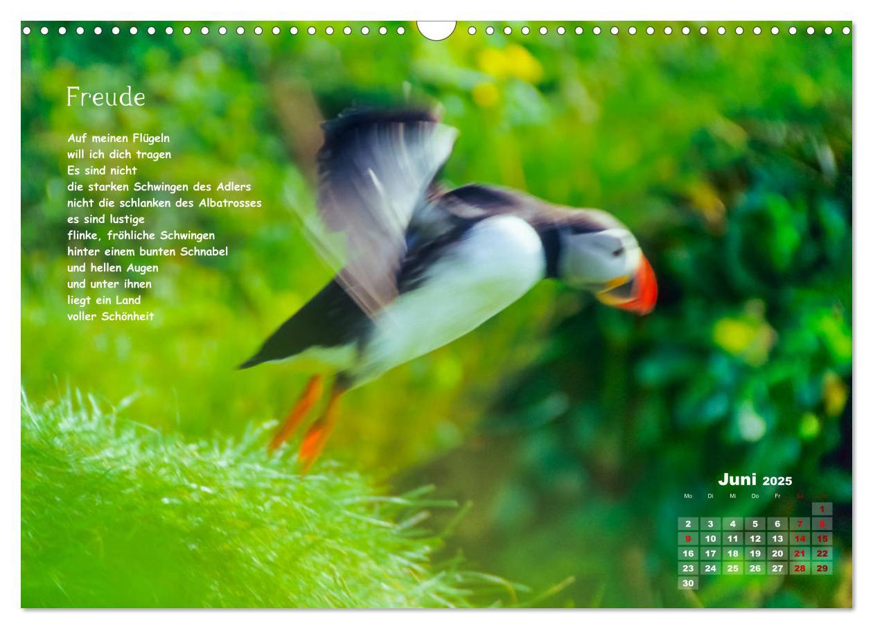 Bild: 9783435170982 | Lichtblicke für Auge und Seele - Der Kalender (Wandkalender 2025...