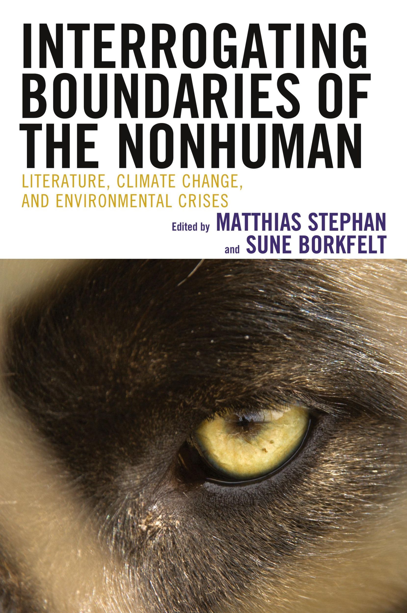 Cover: 9781666903782 | Interrogating Boundaries of the Nonhuman | Matthias Stephan | Buch