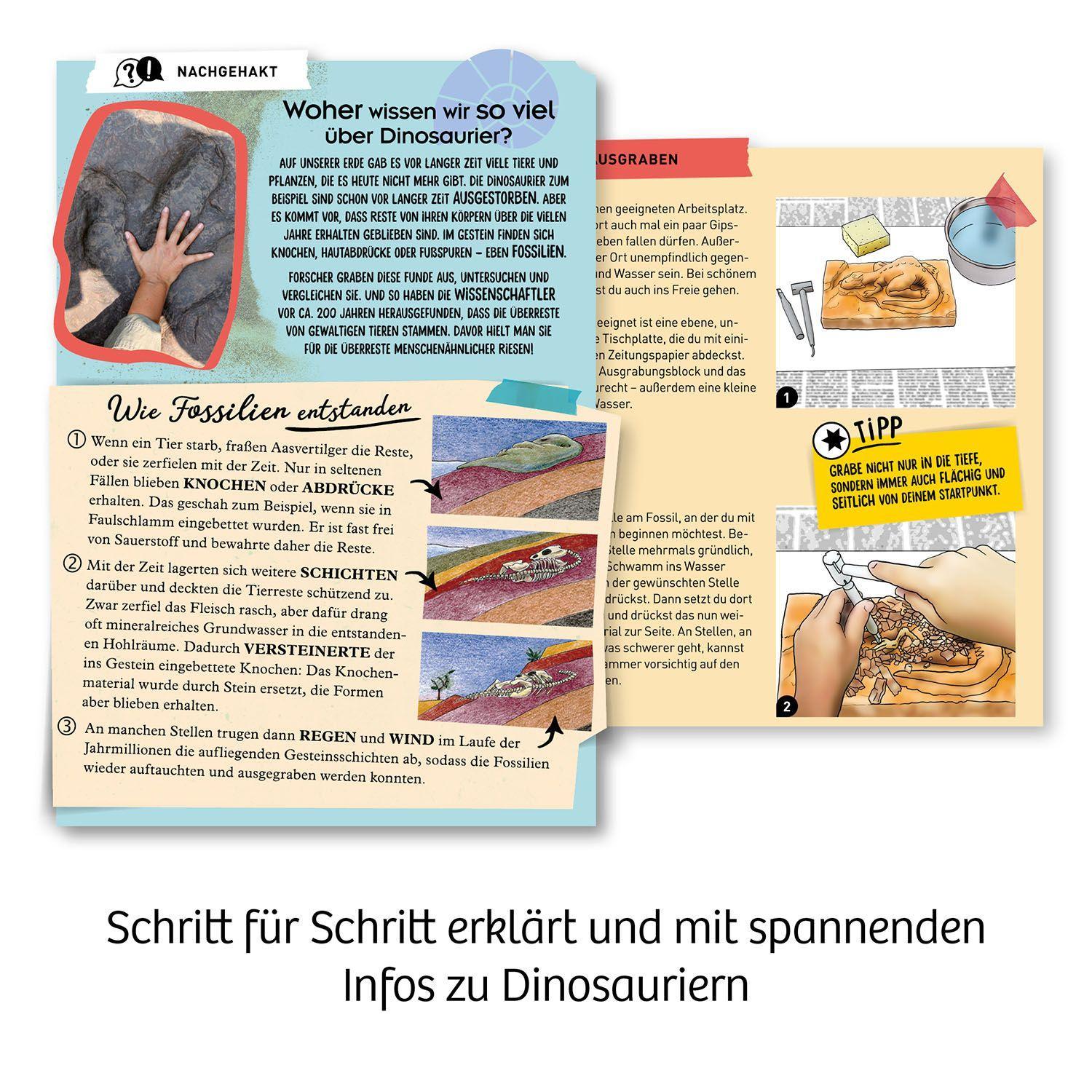 Bild: 4002051636159 | T-REX - 3D | Experimentierkasten | Spiel | Brettspiel | 636159 | 2022