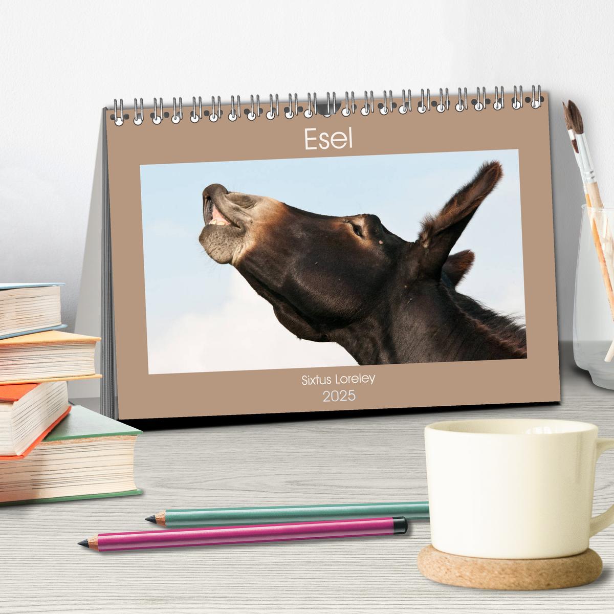 Bild: 9783435434701 | Esel - Sixtus Loreley (Tischkalender 2025 DIN A5 quer), CALVENDO...