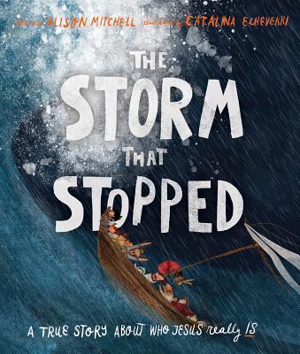Cover: 9781910307960 | The Storm That Stopped Storybook | Alison Mitchell | Buch | Gebunden