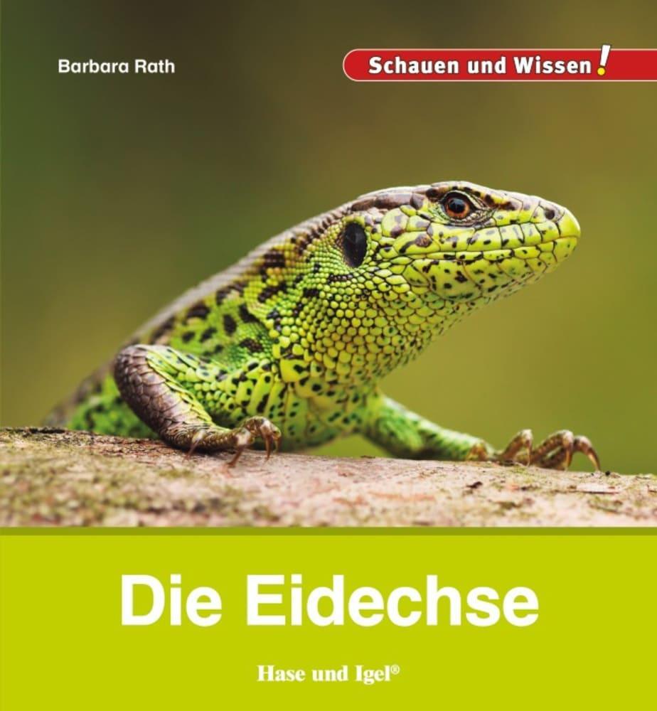 Cover: 9783863163693 | Die Eidechse | Schauen und Wissen! | Barbara Rath | Buch | 34 S.
