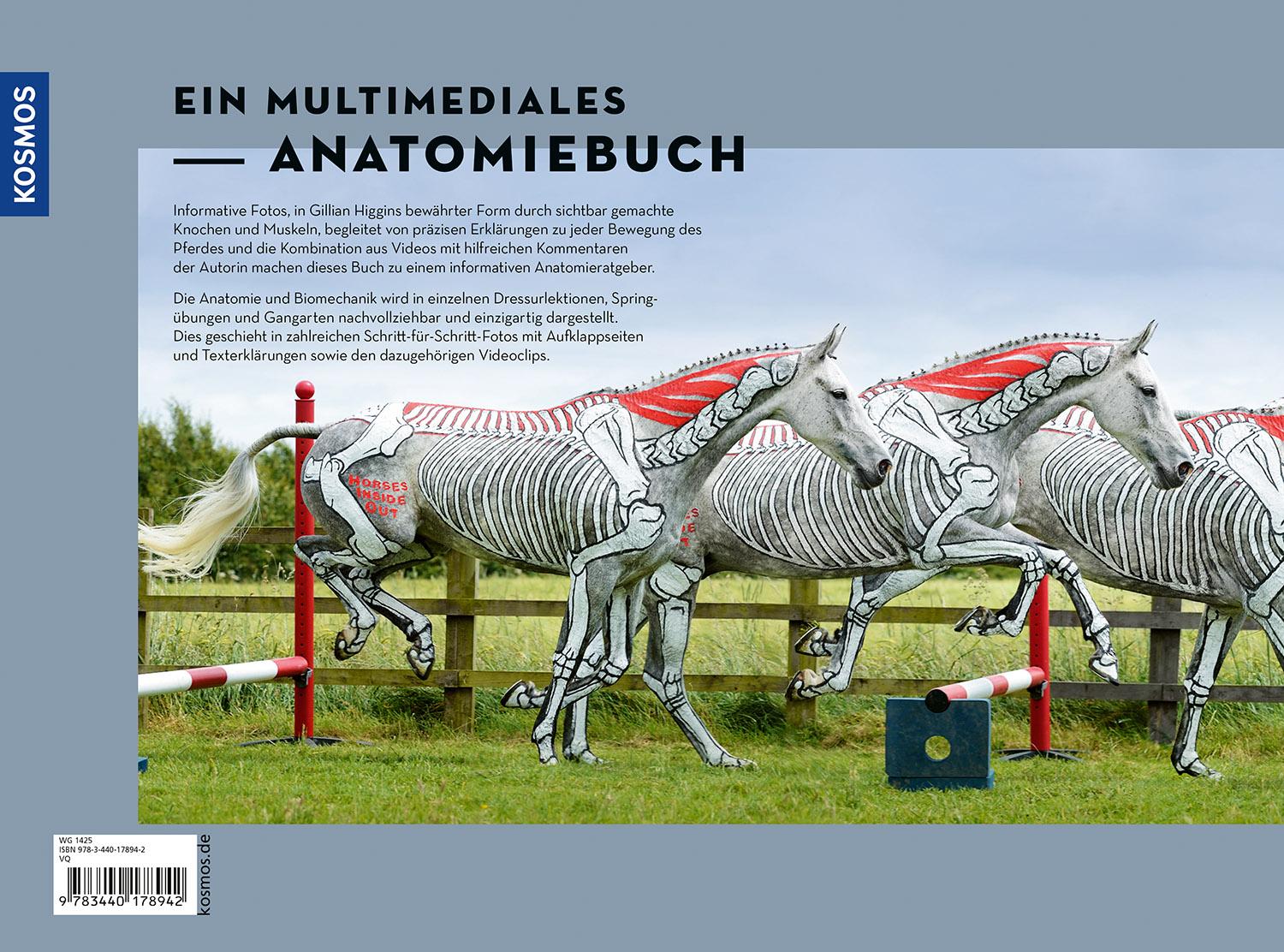 Bild: 9783440178942 | Anatomie in Bewegung | Gillian Higgins | Buch | 142 S. | Deutsch