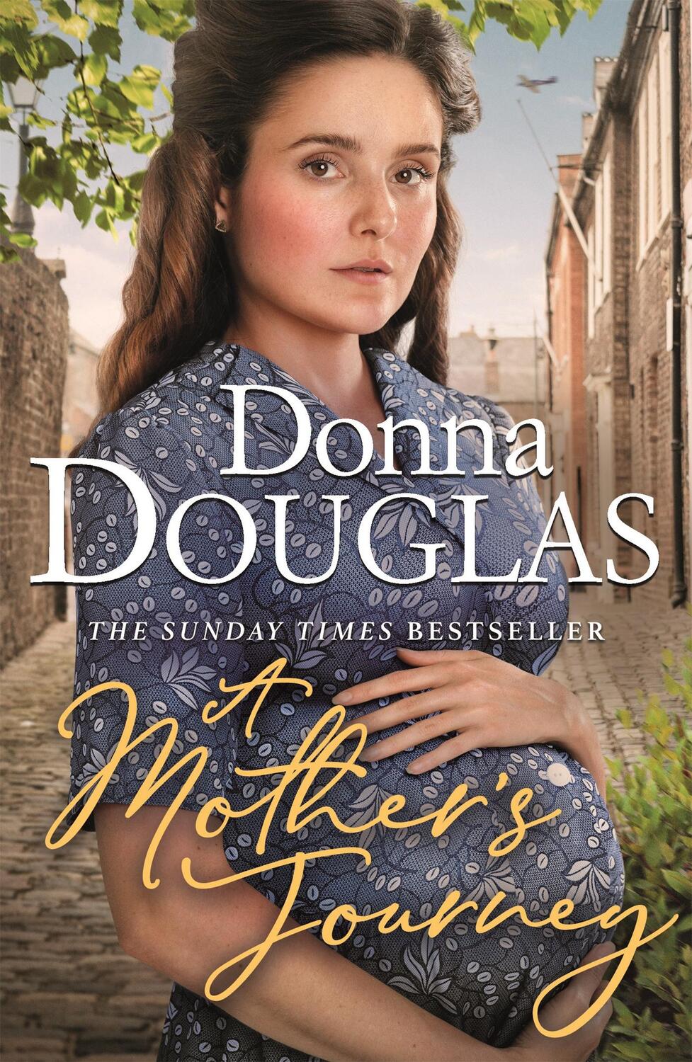 Cover: 9781409190899 | A Mother's Journey | Donna Douglas | Taschenbuch | Englisch | 2020