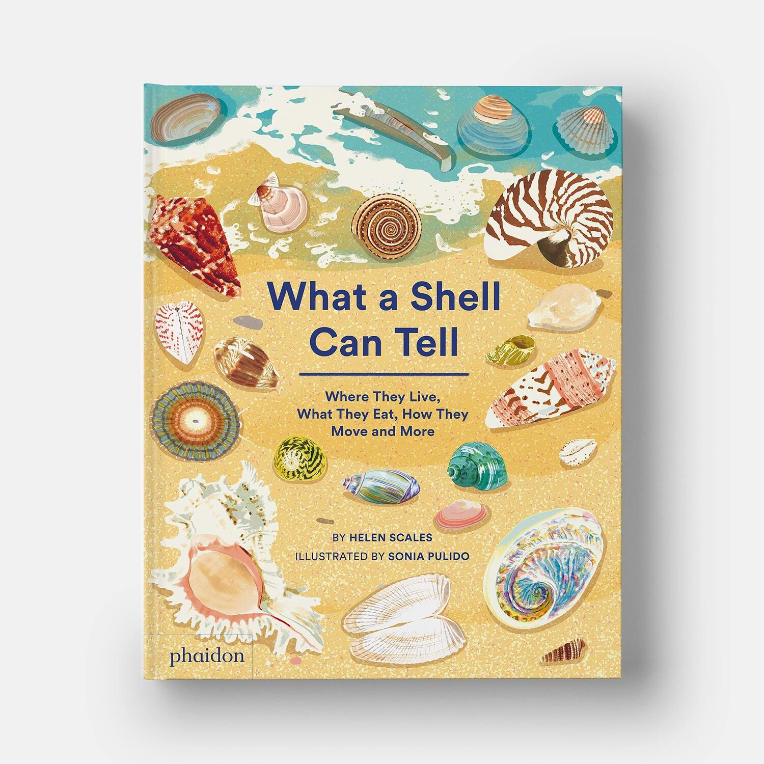 Bild: 9781838664305 | What A Shell Can Tell | Helen Scales (u. a.) | Buch | Englisch | 2022