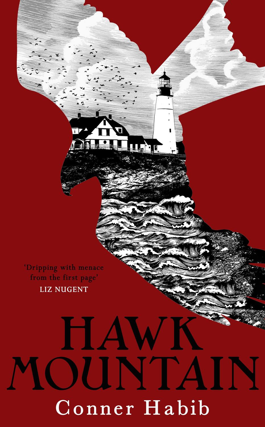 Cover: 9781781620601 | Hawk Mountain | A highly suspenseful and unsettling literary thriller