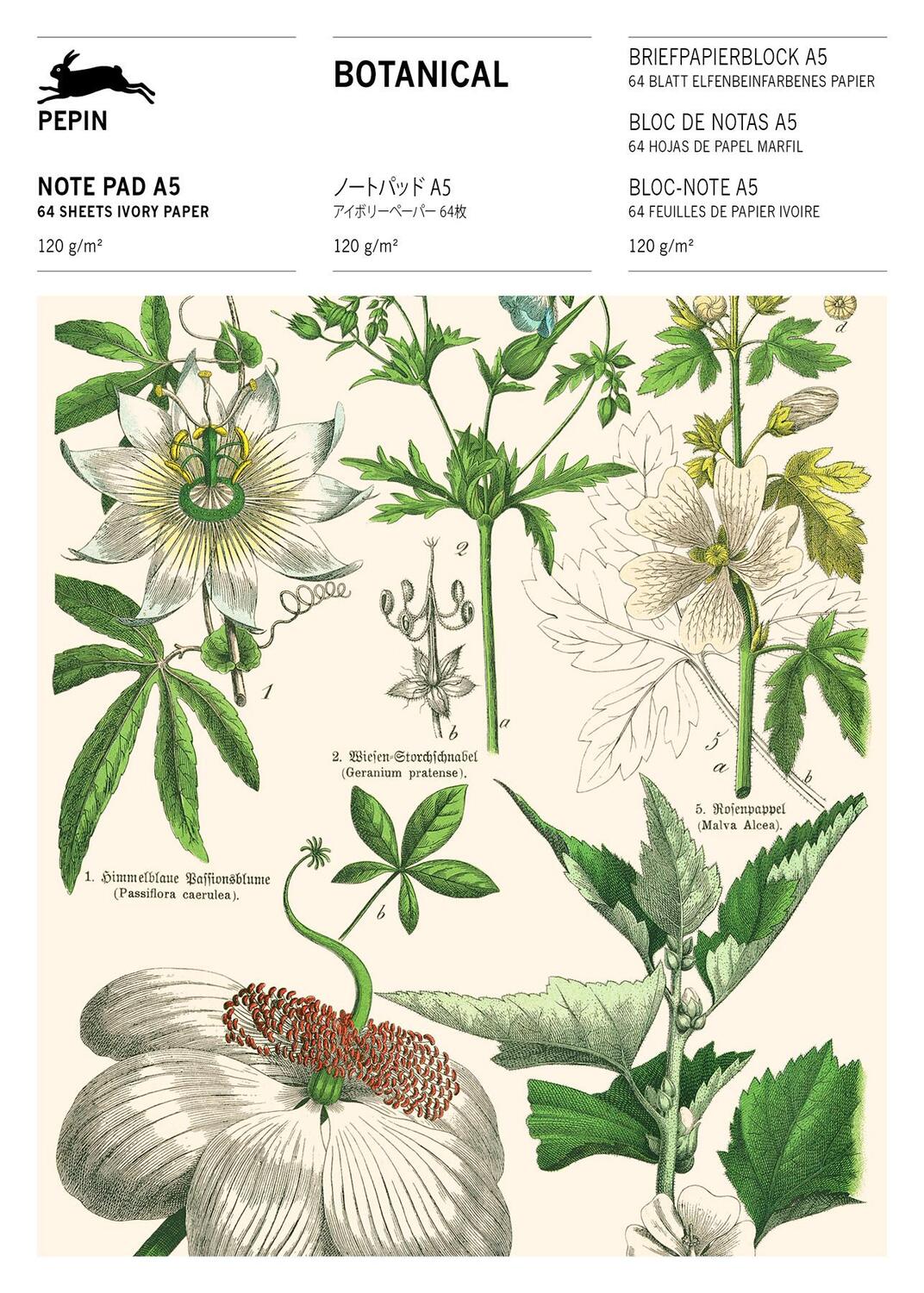 Cover: 9789460093364 | Botanical | Writing Paper & Note Pad A5 | Pepin Van Roojen | Stück