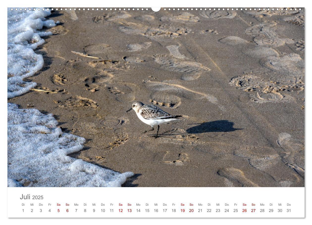 Bild: 9783435021918 | Dänemark - Henne Strand (Wandkalender 2025 DIN A2 quer), CALVENDO...