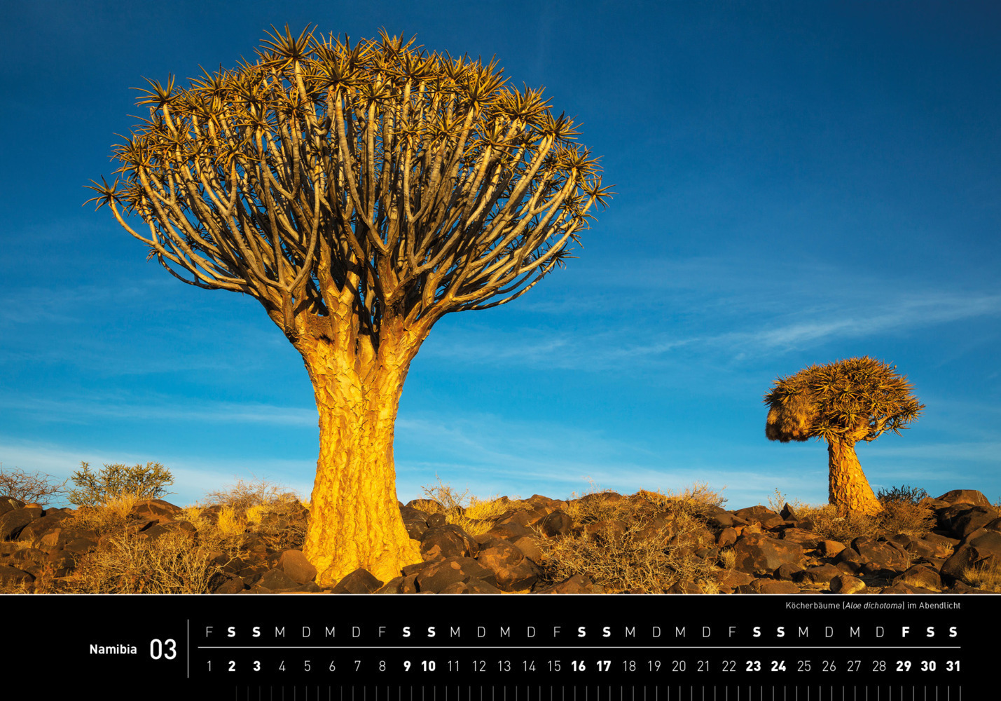 Bild: 9783968553481 | 360° Namibia Premiumkalender 2024 | Thomas Dreßler | Kalender | 2024